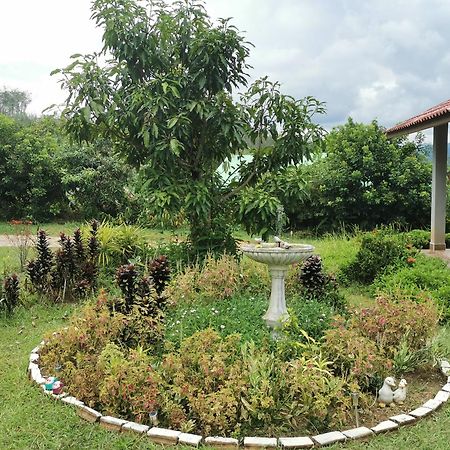 Betong House In The Garden Villa Eksteriør bilde